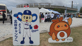 竜党は沖縄で熱く燃える!ドラゴンズ春季キャンプ地で見たこと聞いたこと